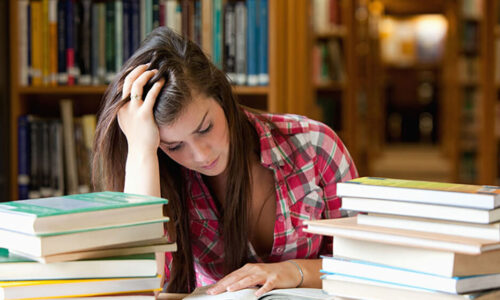 courses-1 Introduction LearnPress – LMS plugin